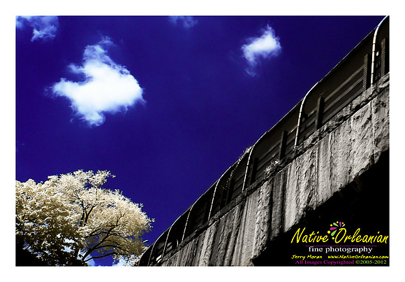 on_the_road_vow_jm_081612_001