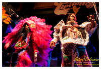 wildmagnolias_tips_jm_031112_009