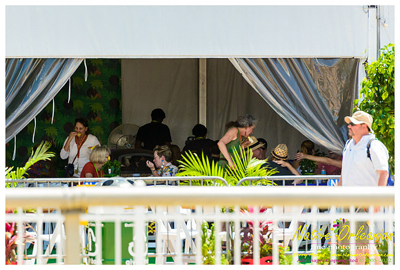 wwoz_tent_jazz_fest_jm_050412_001