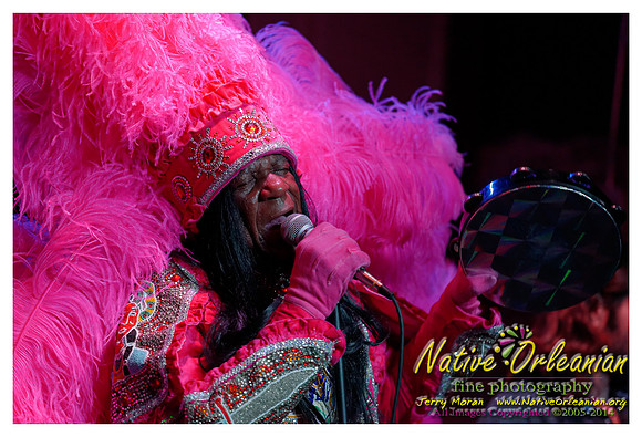 bo_dolis_jr_wild_magnolias_publiq_house_jm_082714_006