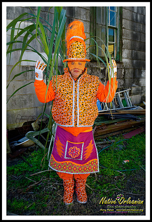 big_chief_monk_boudreaux_mardi_gras_day_jm_020916_002