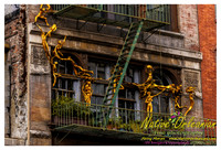 nofp_new_york_city_jm_090513_017