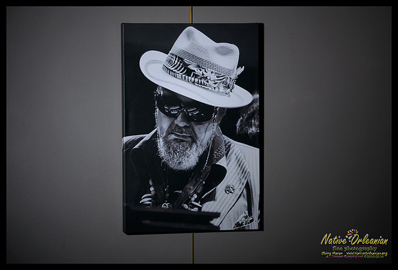 dr_john_gulf_aid_2010_20x30_gallery_wrapped_canvas_jm_nofp©-2