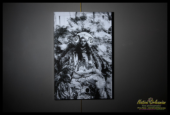 second_chief_joseph_golden_eagle_mardi_gras_indians_mardi_gras_2012_20x30_gallery_wrapped_canvas_jm_nofp©