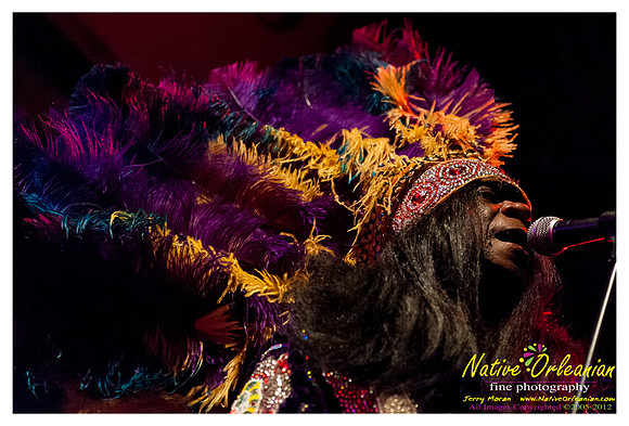 wildmagnolias_tips_jm_031112_029