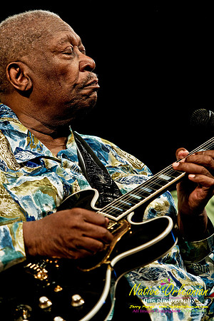 bbkingjf2010_jm_004