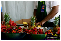 wwoz_tent_jazz_fest_jm_050612_007