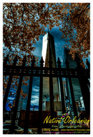 nofp_infrared_new_york_city_jm_090513_001