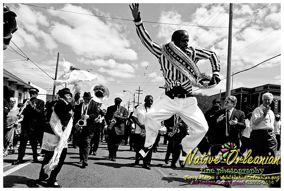 roscoes_jazz_funeral_2011_jm_©nofp