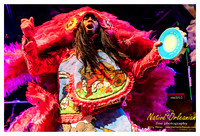wildmagnolias_tips_jm_031112_001
