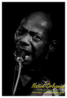 walter_wolfman_washington_bday_maple_leaf_jm_nofp_122013_005