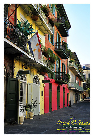 New Orleans Scenes