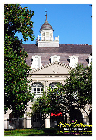 New Orleans Scenes