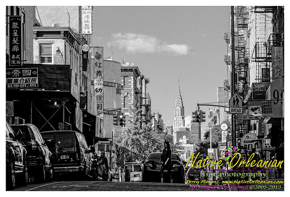 nofp_new_york_city_jm_090513_015