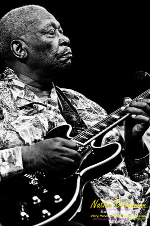 bbkingjf2010_jm_008