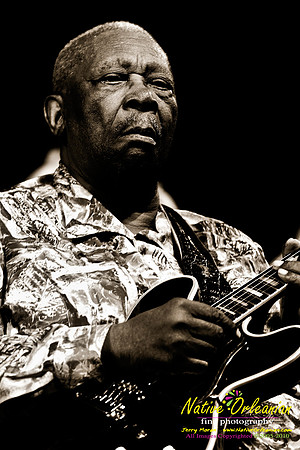 bbkingjf2010_jm_001