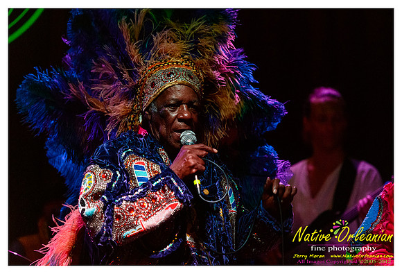 wild_magnolias_monk_dba_jm_052712_012
