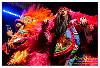 wildmagnolias_tips_jm_031112_014