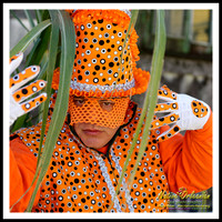 big_chief_monk_boudreaux_mardi_gras_day_jm_020916_001