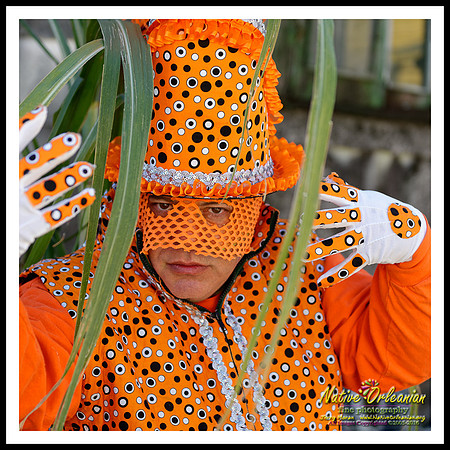 big_chief_monk_boudreaux_mardi_gras_day_jm_020916_001