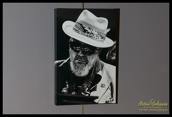 dr_john_gulf_aid_2010_16x24_gallery_wrapped_canvas_jm_nofp©