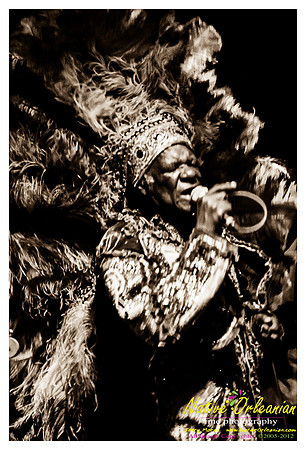 wild_magnolias_monk_dba_jm_052712_016