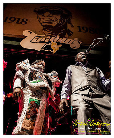 wildmagnolias_tips_jm_031112_021
