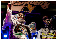 wildmagnolias_tips_jm_031112_019