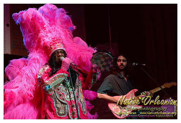bo_dolis_jr_wild_magnolias_publiq_house_jm_082714_007