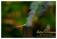 nofp_meatdown_south_jm_071313_001