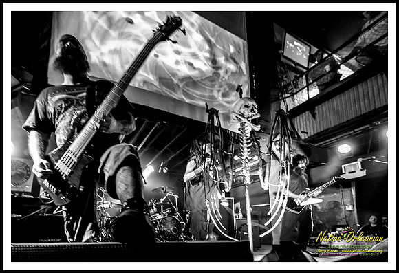ministry_tipitinas_jm_042815_004