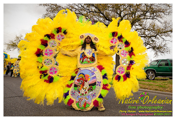 super_sunday_mardi_gras_indians_jm_031713_020