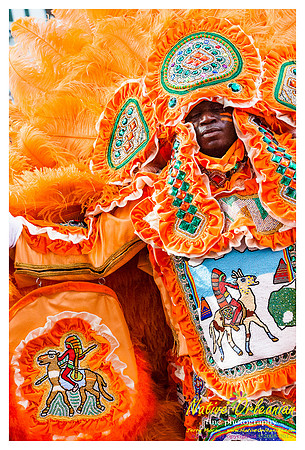 mardi_gras_monk_boudreaux_jm_022112_107