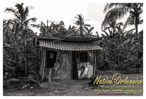 big_chief_monk_boudreaux_kingston_jamaica_jm_030714_021
