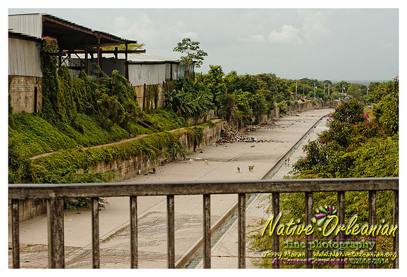 big_chief_monk_boudreaux_kingston_jamaica_jm_030714_004