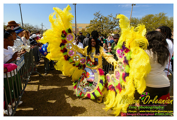 super_sunday_mardi_gras_indians_jm_031713_043