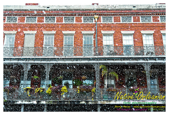 new_orleans_christmas_blizzard_jm_121108_002