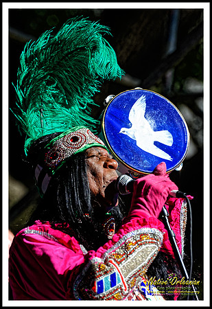 big_chief_monk_boudreaux_lafayette_square_jm_020715_006