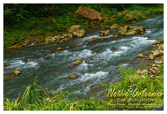 big_chief_monk_boudreaux_kingston_jamaica_jm_030714_018