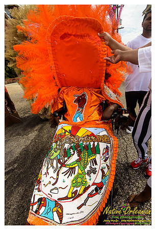 super_sunday_mardi_gras_indians_jm_031713_145