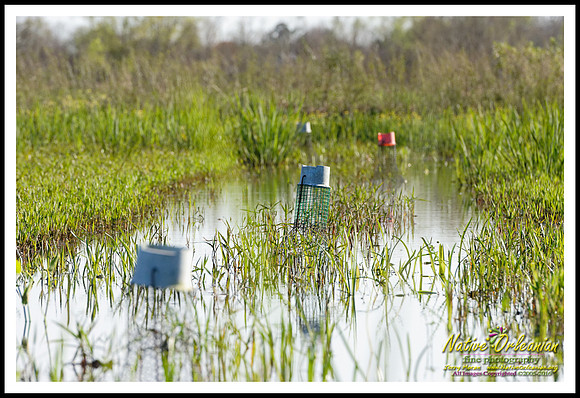 prebois_at_tbois_jm_022716_010