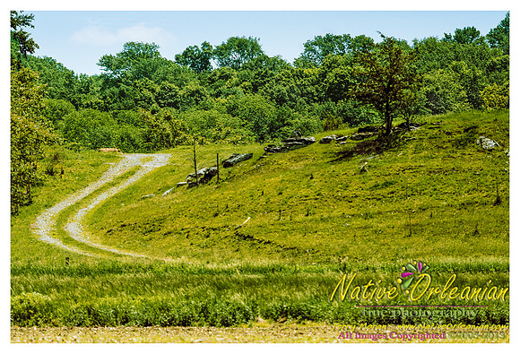 new_jersey_landscape_scenes_jm_060113_013
