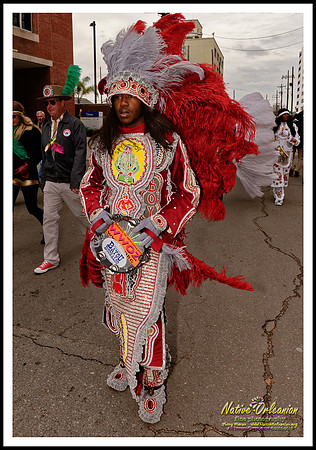 big_chief_monk_boudreaux_mardi_gras_day_jm_021715_025