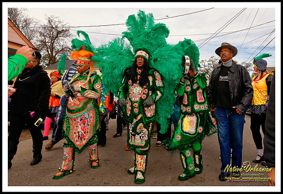 big_chief_monk_boudreaux_mardi_gras_day_jm_021715_022