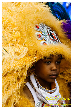 mardi_gras_monk_boudreaux_jm_022112_094