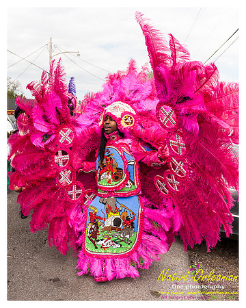 mardi_gras_monk_boudreaux_jm_022112_016