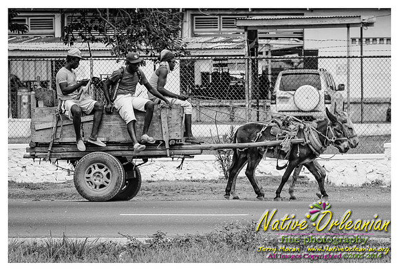 big_chief_monk_boudreaux_kingston_jamaica_jm_030714_010