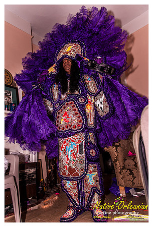 mardi_gras_monk_boudreaux_jm_022112_011