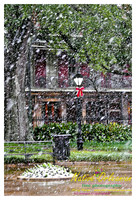 new_orleans_christmas_blizzard_jm_122212_014