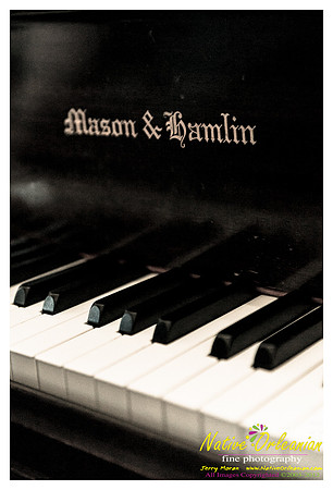 wild_magnolias_nola_recording_studio_jm_110612_009